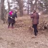 В Ольхово-Рогском сельском поселении проводятся субботники для поддержания чистоты и  порядка