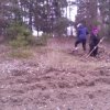 В Ольхово-Рогском сельском поселении проводятся субботники для поддержания чистоты и  порядка