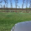 3 05 2018 проходил субботник на Трассе М 4 № Дон работники Администрации Ольхово Рогского сельского поселения белили деревья